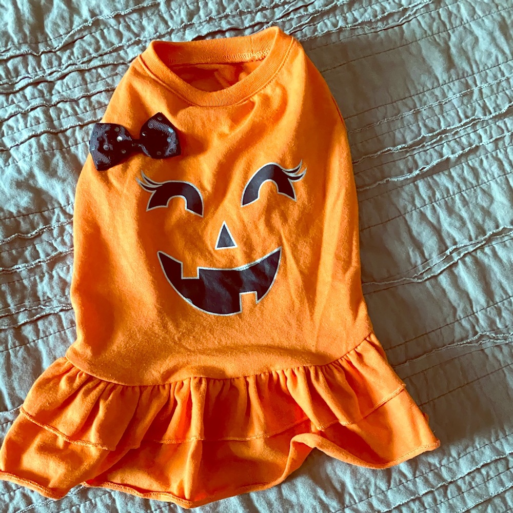 Pumpkin dog costume- small
